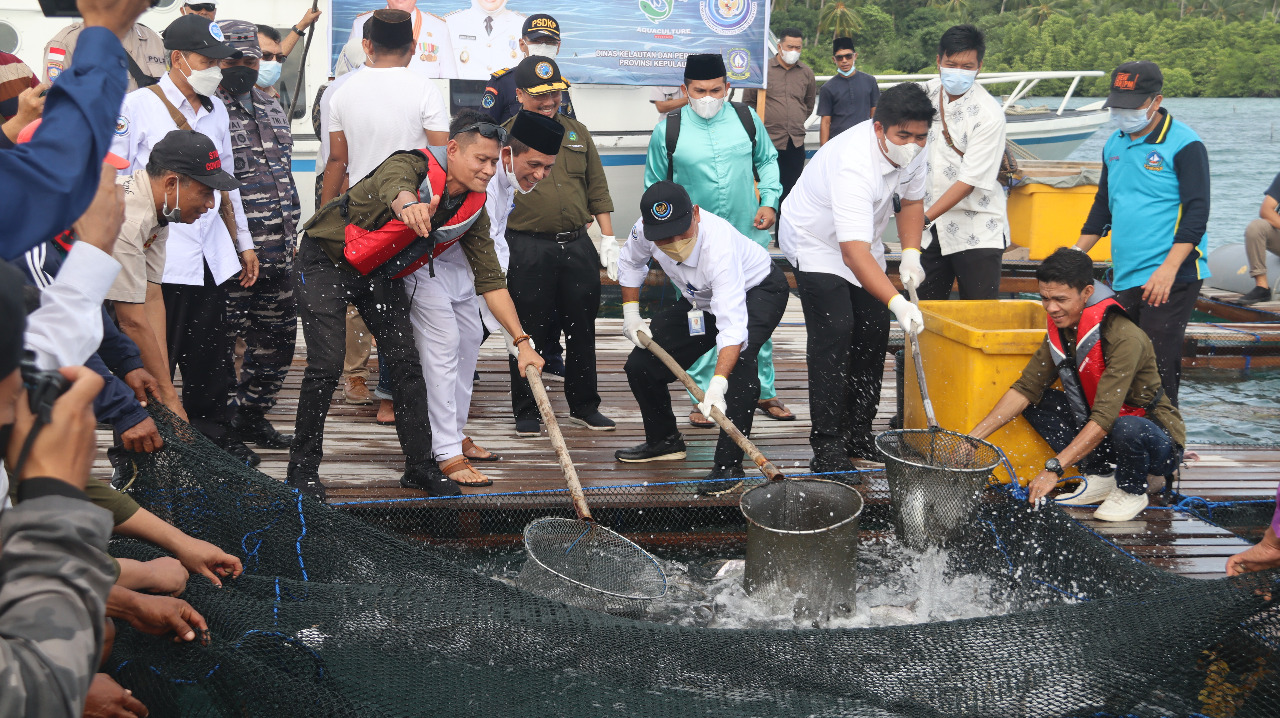 Budidaya Laut, Raksasa Tidur di Sektor Perikanan